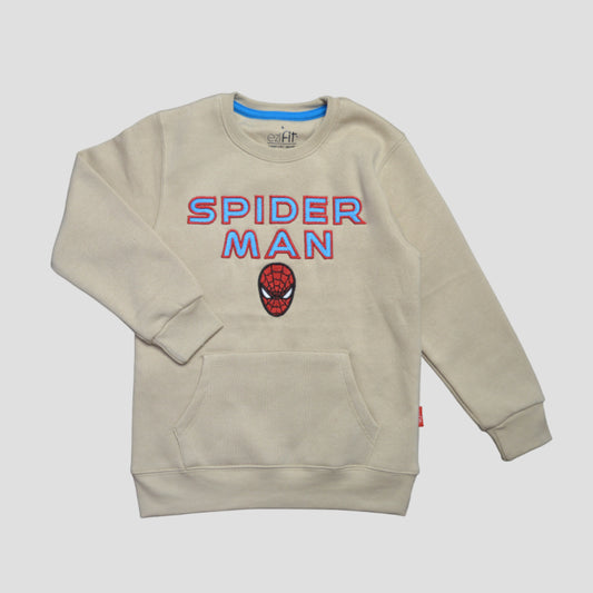 Sweatshirt boys 2 - 15 year (BT-227)